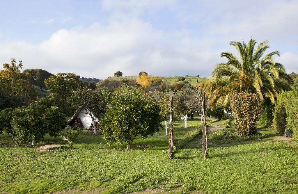 Cuevas Del Pino Turismo Rural Y Emocional Sl Villarrubia ภายนอก รูปภาพ